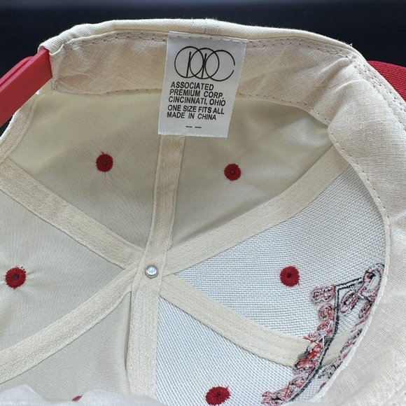 Vintage Harrisburg Senators MiLB Snap Back Hat Cap 1996-1997 Back To Back Champs - Picture 8 of 8